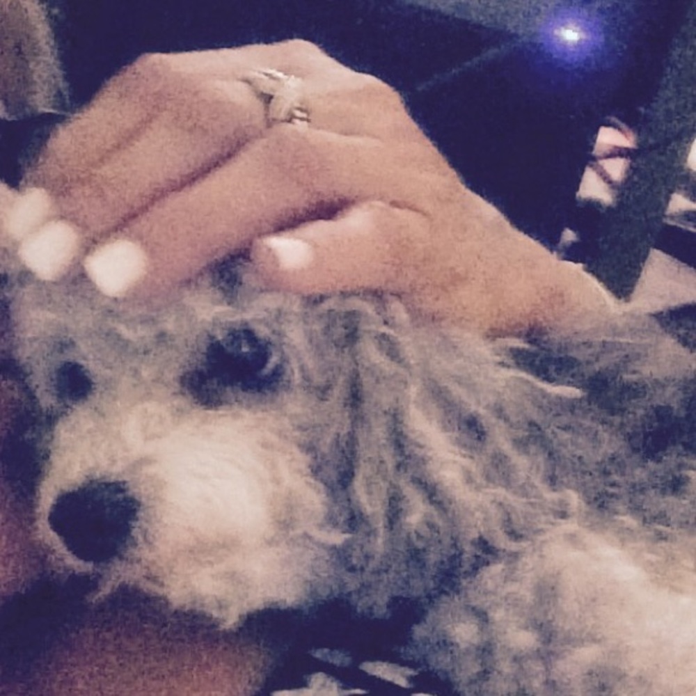 Meet your Posher, Chichi